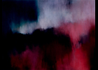 Nature - Pastel sec - 60 x 50 cm - 1995