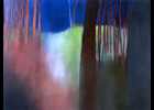 Russie : Rythme des arbres - 60 x 50 cm - 1993